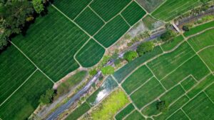 Agricultura