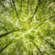 Recursos Naturales